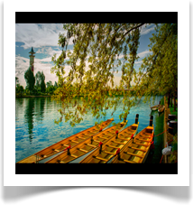 ADANA DALİ ART