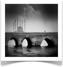 Adana Daliart