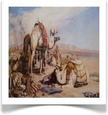 CANVAS BASKILAR